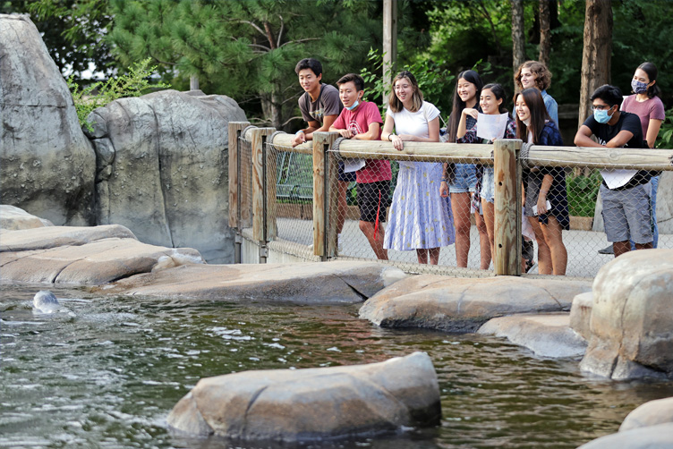 Students smiling at the sea lion exhibit